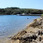Punta Kriza 8082b *