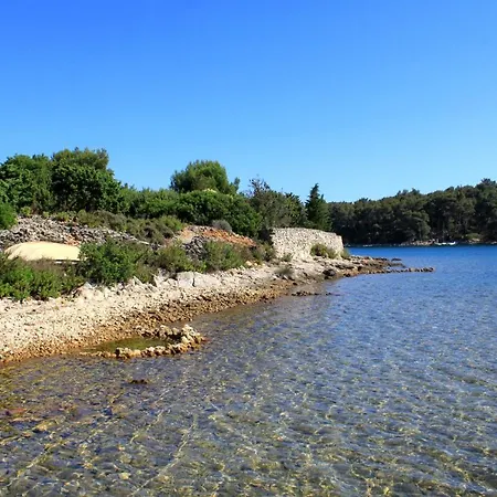 Punta Kriza 8082b *