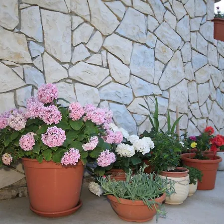 Apartment Punta Kriza 8082b Nerezine