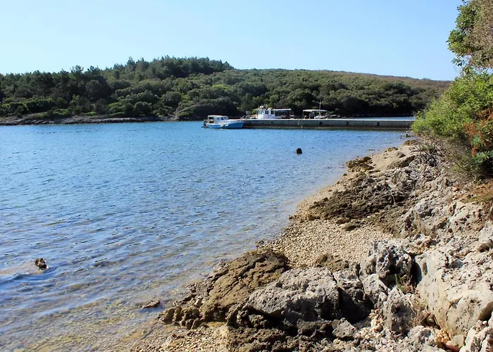 Punta Kriza 8082b *