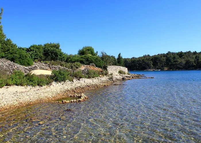 Punta Kriza 8082b *
