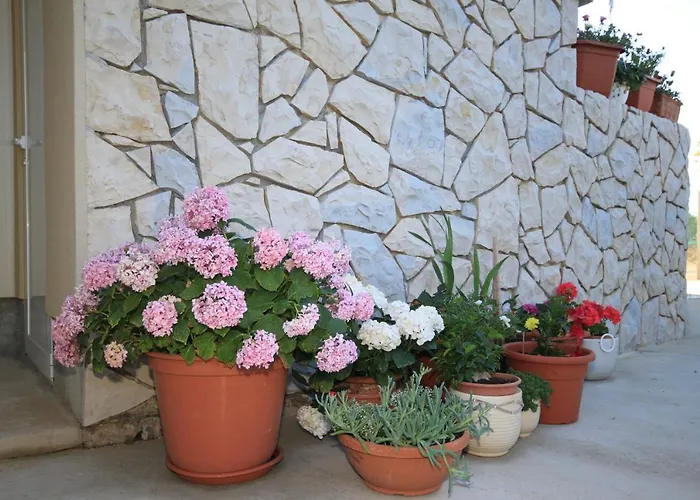 Apartmán Punta Kriza 8082b Nerezine