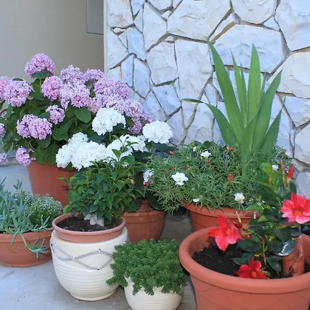 Punta Kriza 8082b דירה *